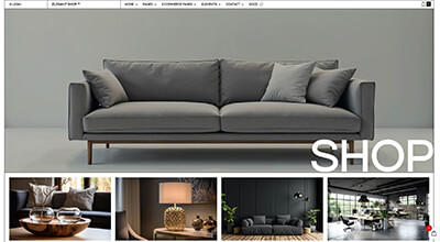 Shop Divi Child Theme